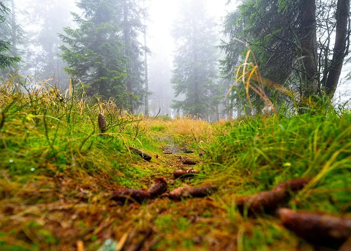 Horská Bouda Krakonoš *