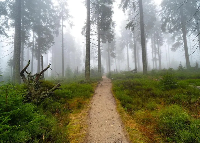 Horská chata Horská Bouda Krakonoš *