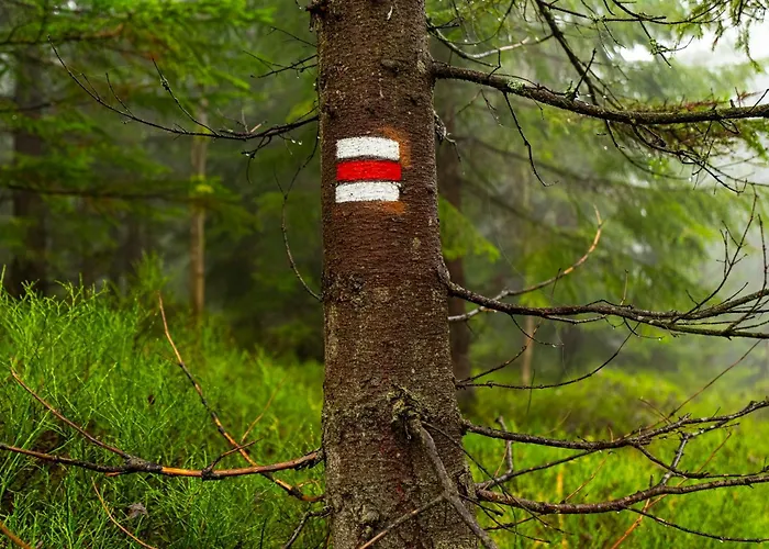 Horská Bouda Krakonoš Chalé